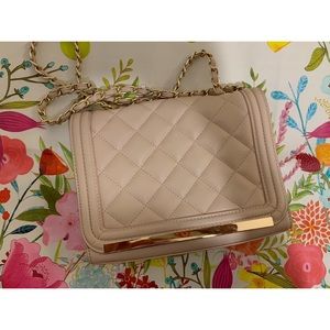 BLUSH PINK ALDO CHAIN PURSE